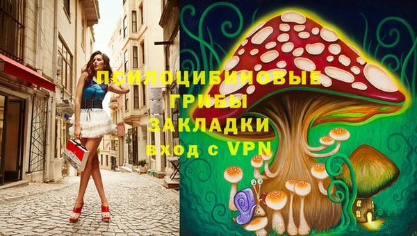 дживик Алзамай