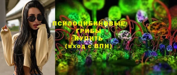 шишки Алексин