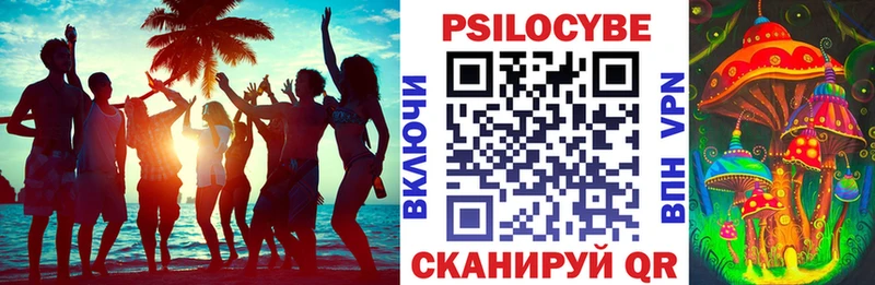 Псилоцибиновые грибы Psilocybine cubensis  blacksprut ссылки  Таштагол 